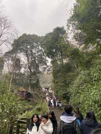 World Heritage - Mount Qingcheng in Chengdu 🇨🇳☯️