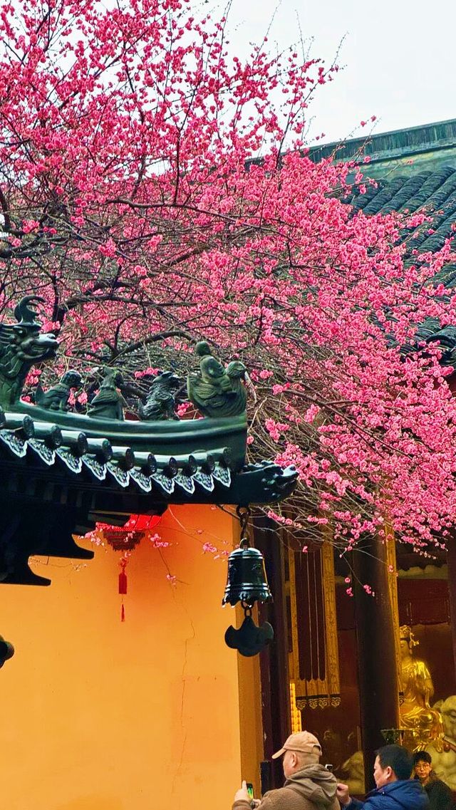 半個月後再忙都必須要去的景點…真的美翻天