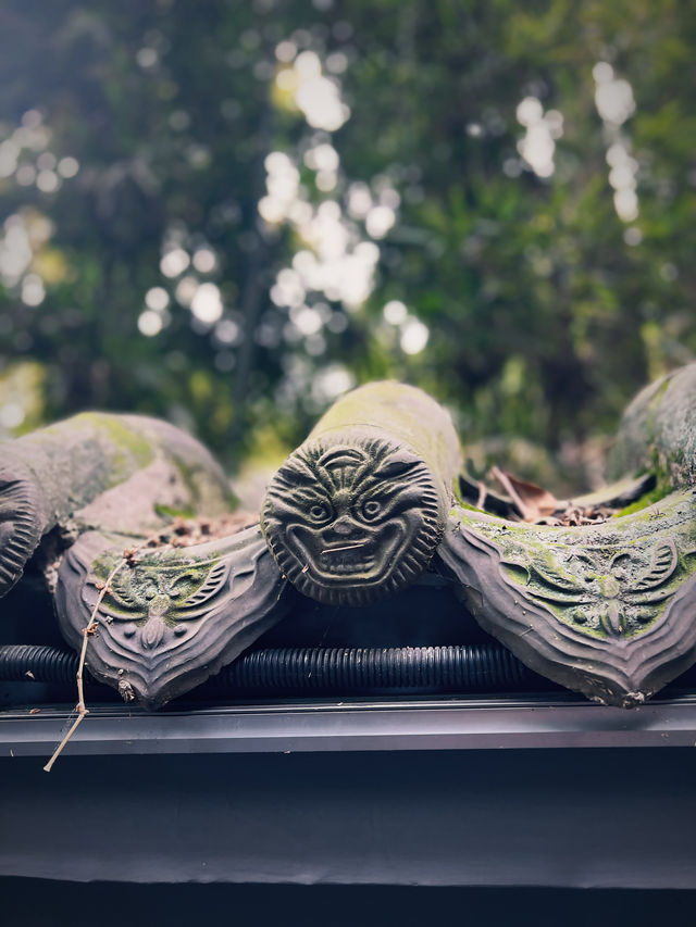 杜甫草堂｜很出片 但假期人多慎入