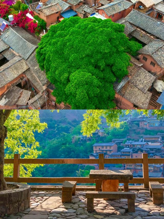 懸崖上的鹽香之旅！諾鄧古村三天兩夜全攻略