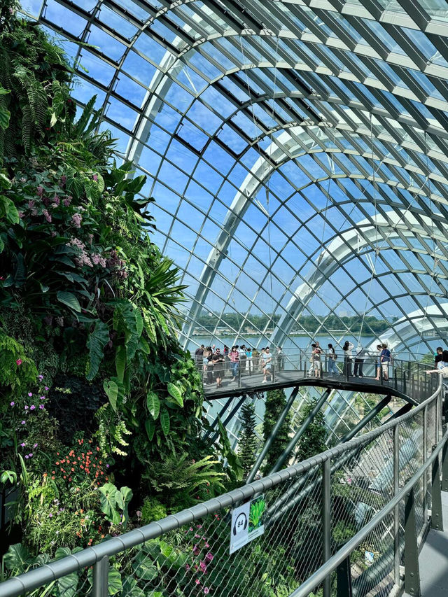 新加坡濱海灣花園 | 雲霧林🌫️ + 超級樹打卡攻略