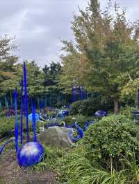 西雅圖奇胡利玻璃藝術園 | 夢幻玻璃世界