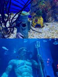 廣州海洋館隱藏著哪些未被大眾發現的海洋秘密？