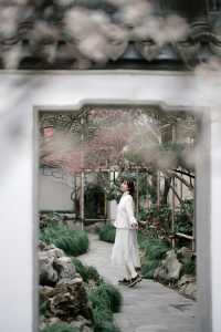 上海梅花季一定要去這個古典園林賞花還免費!!