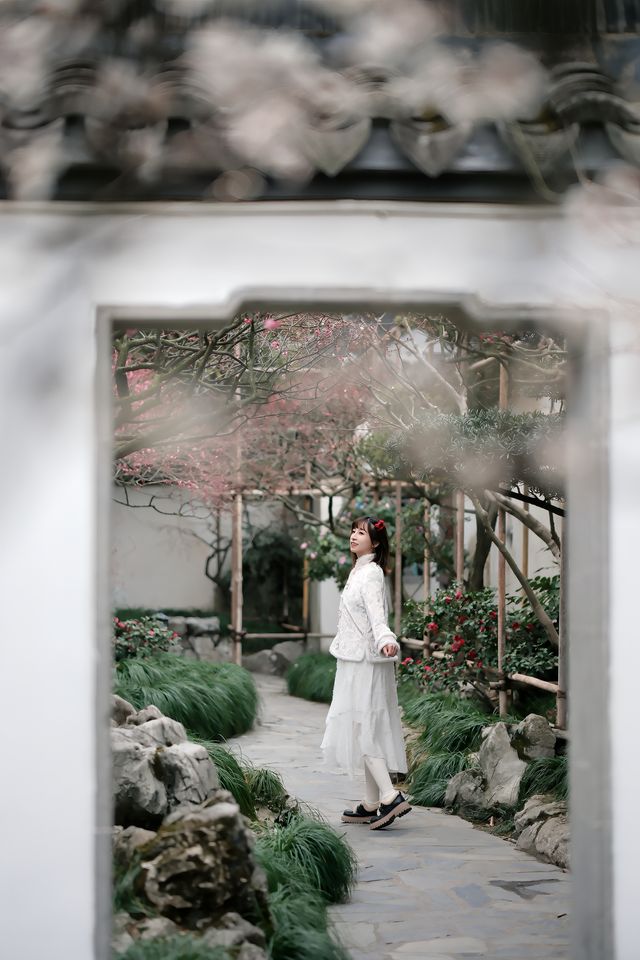 上海梅花季一定要去這個古典園林賞花還免費!! 上海梅花季一定要去這個古典園林賞花還免費!!