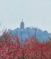 南通狼山風景區超全旅遊攻略