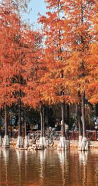 東莞可園博物館：嶺南園林的時光之旅攻略」。