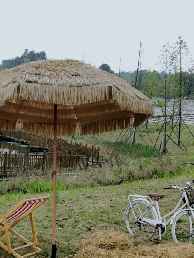 重慶｜遊牧營地