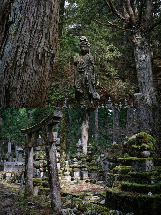 3日暢遊日本 盡享溫泉之旅必收藏