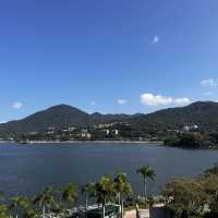 🇭🇰香港這個寶藏海濱公園太美啦