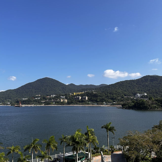 🇭🇰香港這個寶藏海濱公園太美啦