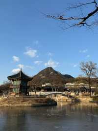 5日韓國遊 人均3k輕鬆玩轉熱門景點