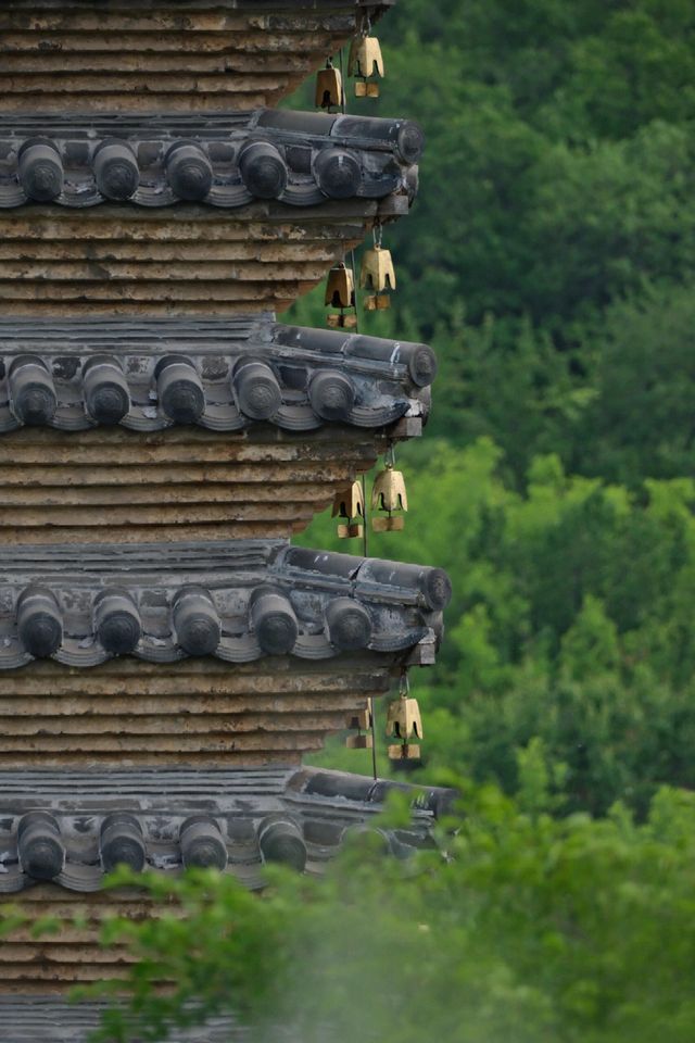 走進這片神奇的土地