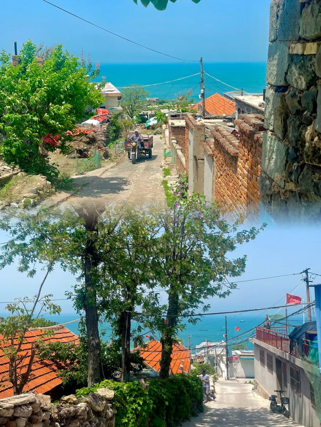 沒過度開發的海島，再不去就晚了