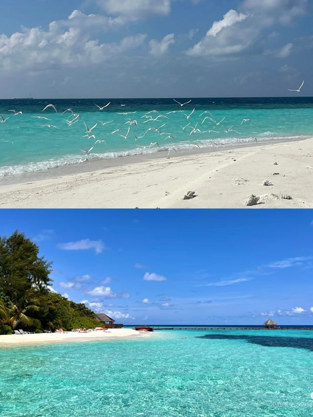 馬爾代夫丹格迪島：私藏的水上天堂，等你來解鎖！