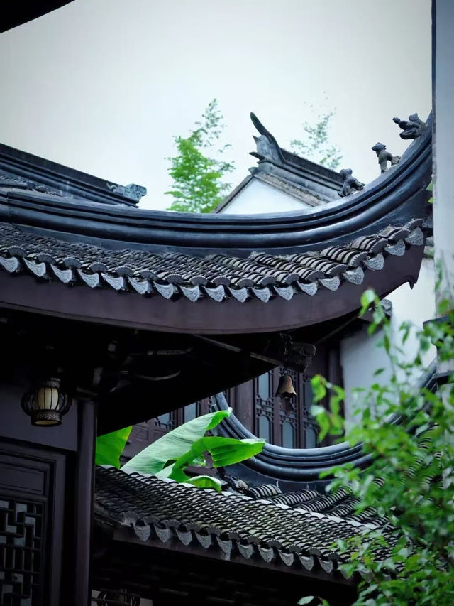安吉0元遛娃真香警告！帶娃免費玩一整天