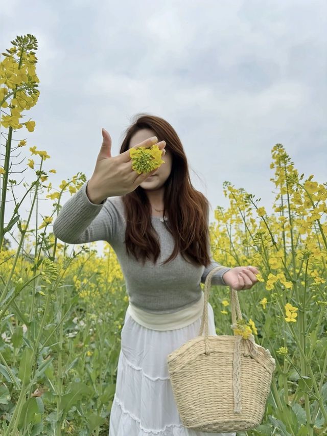 在成都周邊！！躺在房間就可以看油菜花