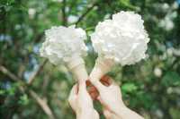濟州島春日限定！闖入繡球花夢境
