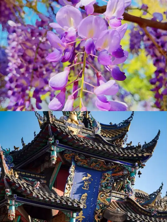 Xichang: A 3-Day Trip That Broke My Budget