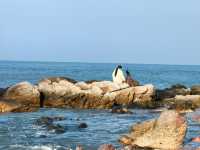 海南環島遊，打卡東方魚鱗洲