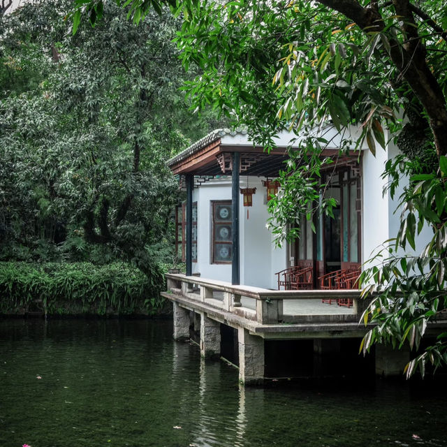 🌸廣州蘭圃 | 邂逅春日限定浪漫，偶遇慵懶喵星人