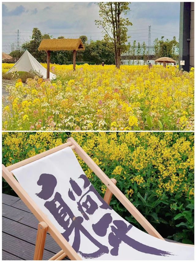 唔係婺源，真係成都！因為一首歌來到一座城