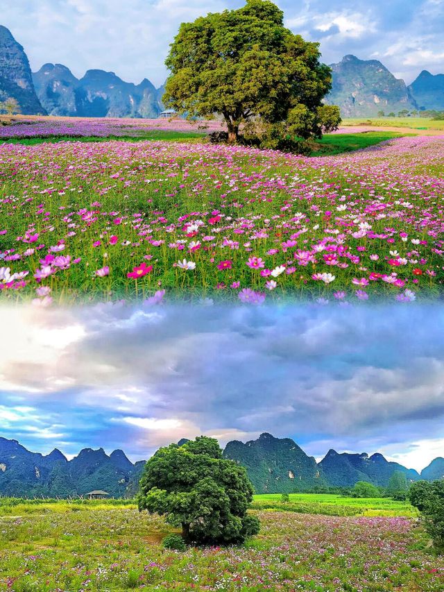 崇左超齊全旅遊攻略