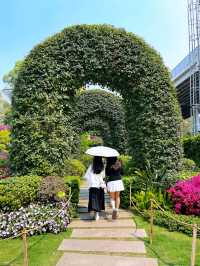 廣州攻略｜花城賞花熱，雲蘿植物園打卡多巴胺