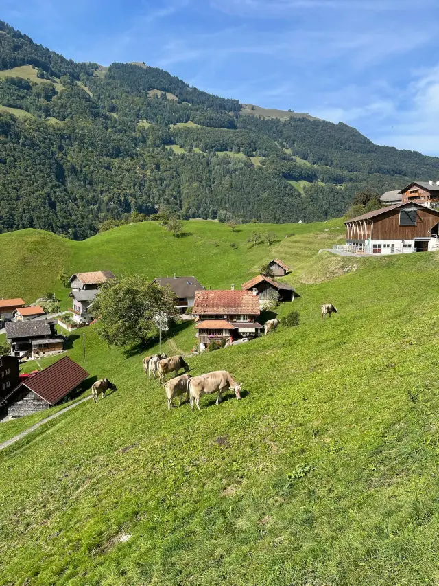 Best and Worst Times to Visit Switzerland