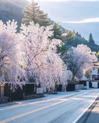 秋田縣深度遊｜四季皆美的日本東北秘境