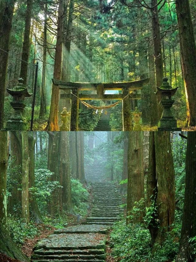 熊野古道新手路線，都是精華！
