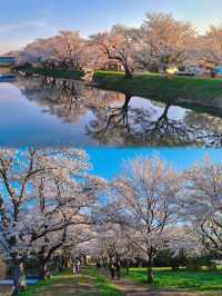 東京近郊茨城縣廳所在地水戶必去景點推薦！