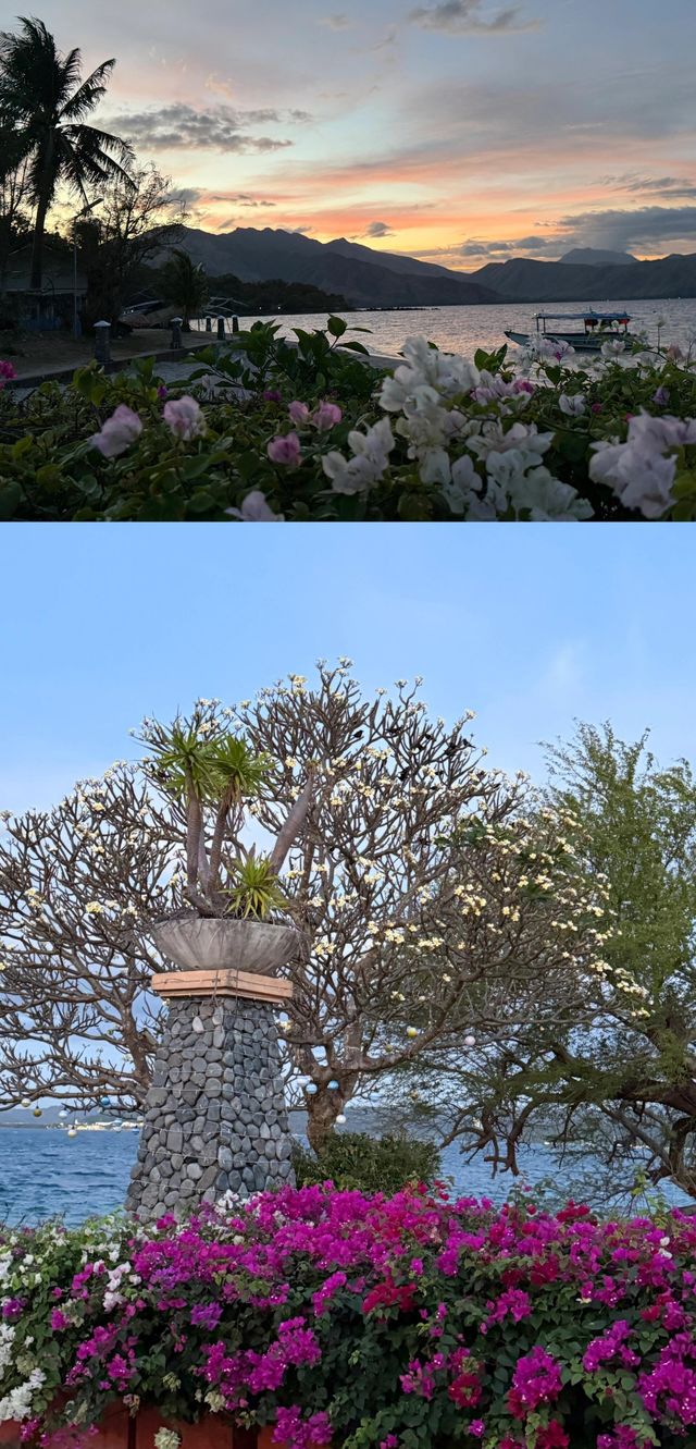 蘇碧灣｜不容錯過的菲律賓夢幻海濱之旅