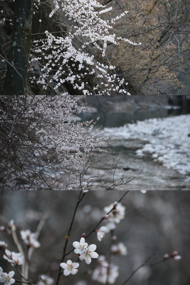 我發現了最適合在清明節去的西安周邊小城