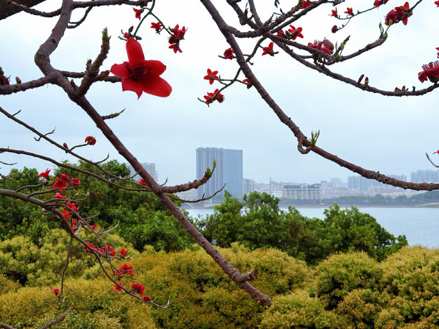深圳打工仔續命指南！立新湖一日遊治癒了我的精神內耗
