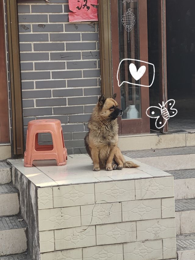 兩天武漢到許昌再去洛陽時間真的夠嗎？