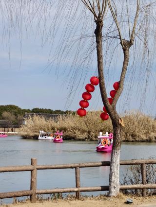 Suzhou | Shajiabang | An Immersive Experience of Revolutionary History and Water Town Charm