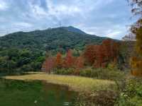 挖到寶了！深圳恩上水庫公園超絕攻略