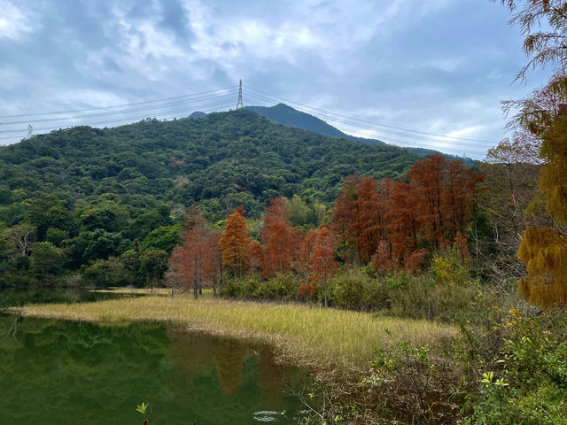 挖到寶了！深圳恩上水庫公園超絕攻略