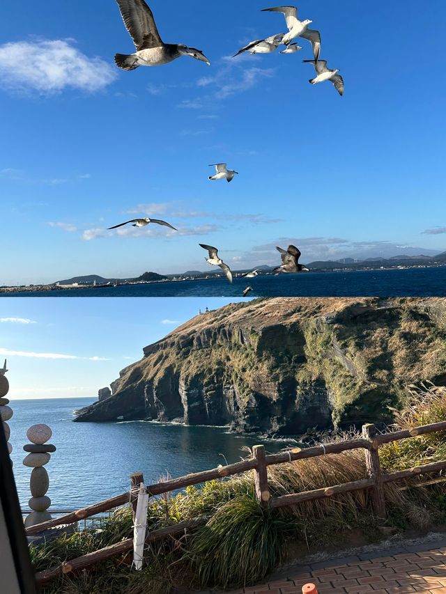 這真的是濟州島？剛回來，攻略放這了