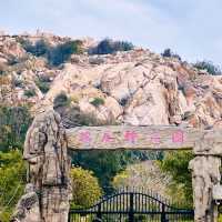 莆田湄洲島一日遊|遊覽媽祖聖地，打卡超美海景