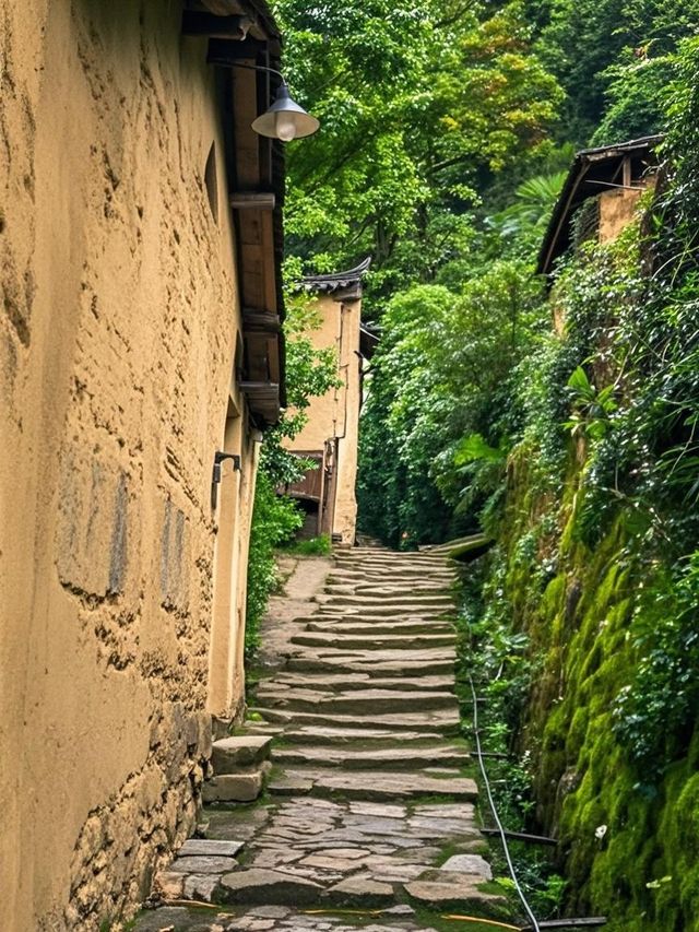 松陽反向旅行害慘我！回來被全公司追殺