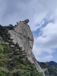 杜鵑花海暴擊｜在鄂東第一峰收割春日限定浪漫
