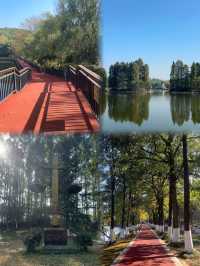 衡陽南湖公園：免費花海中的春日漫遊