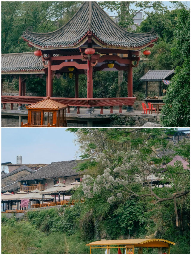 賀州已回，說點難聽大實話
