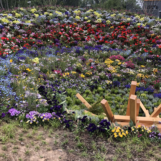 【北京世園會】打卡全球園藝盛宴！解鎖夢幻植物館