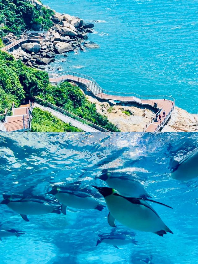 • 《珠海必打卡景點大揭秘：一份讓你不虛此行的遊玩攻略》