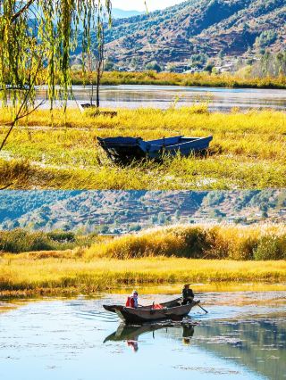 The truth about Lugu Lake's "Water Hyacinth"! Secrets the locals don't dare to tell!
