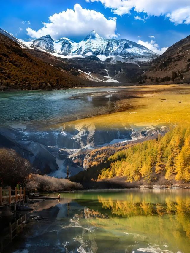 雪山同草原打交，你撐邊個？"