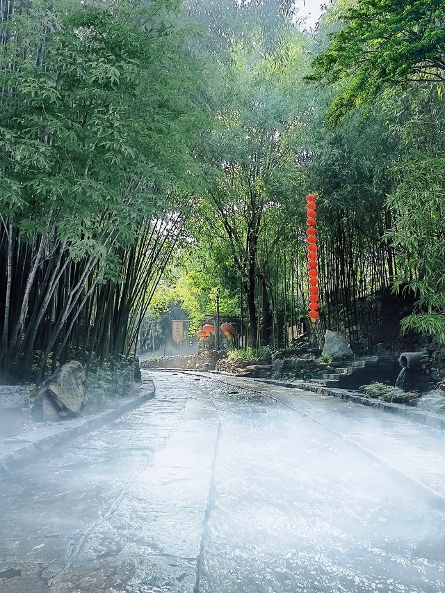 林深處起霧，竹林配古屋